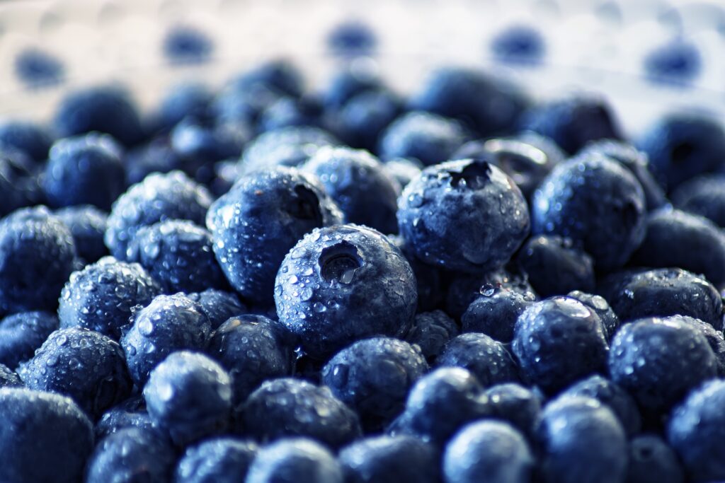 Blueberries-for-Strong-Immune-System