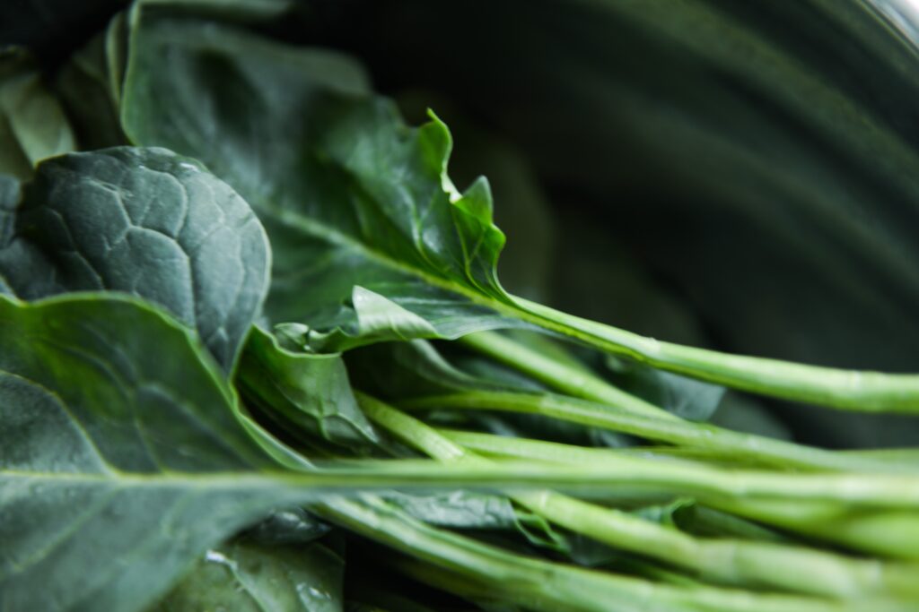 9-Foods-High-in-Antioxidants-leafy-greens