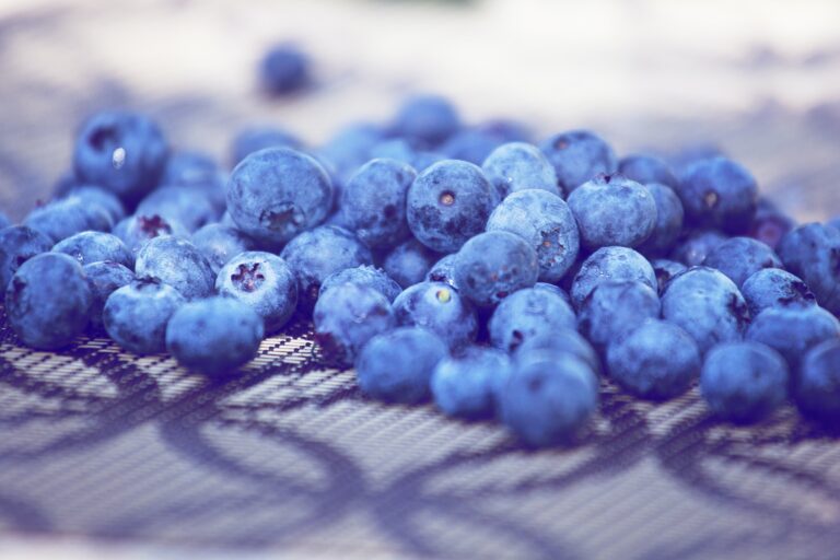5 Health Benefits of Blueberries