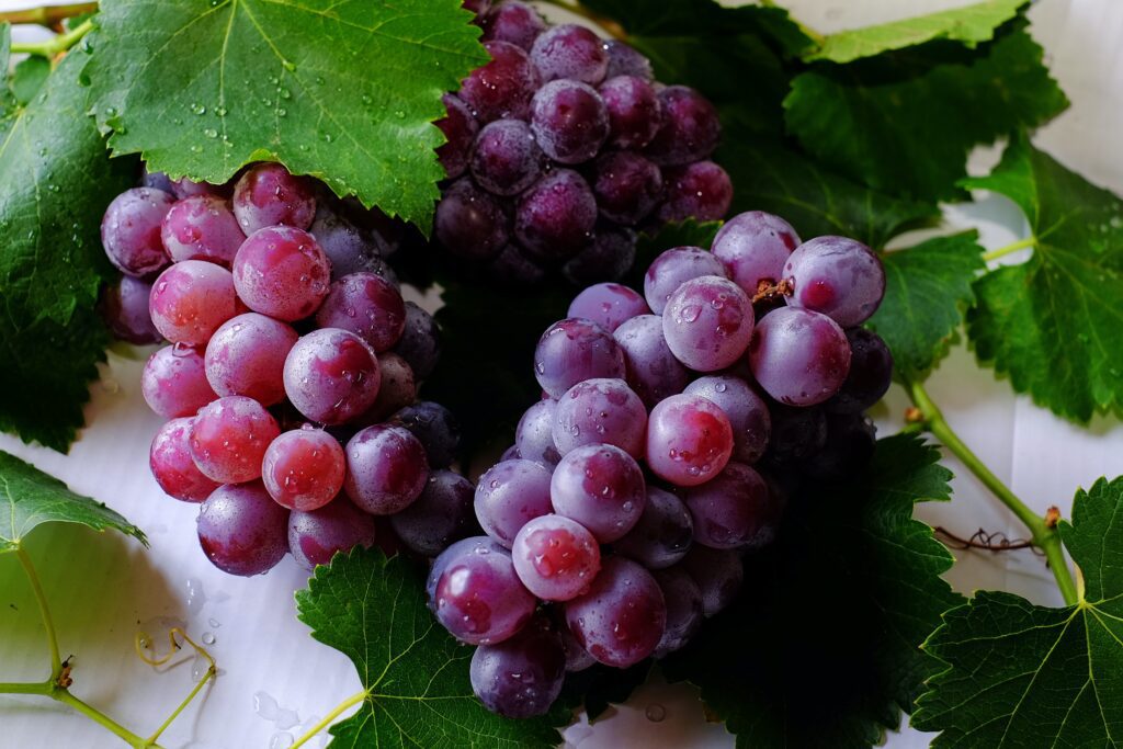 9-Foods-High-in-Antioxidants-grapes