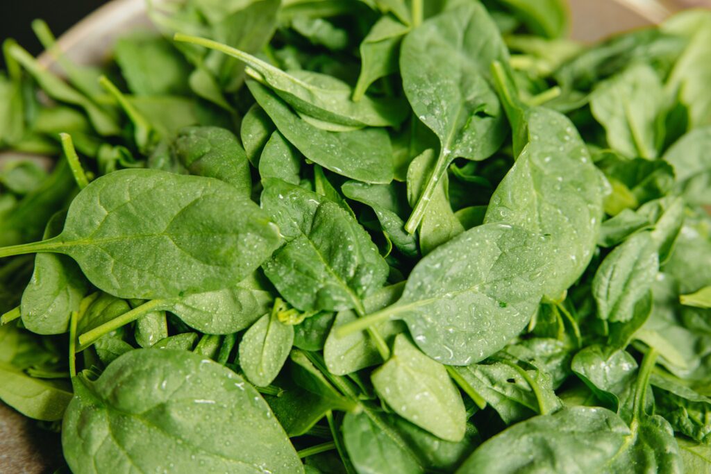 9-Foods-High-in-Omega-3-Fatty-Acids-Spinach