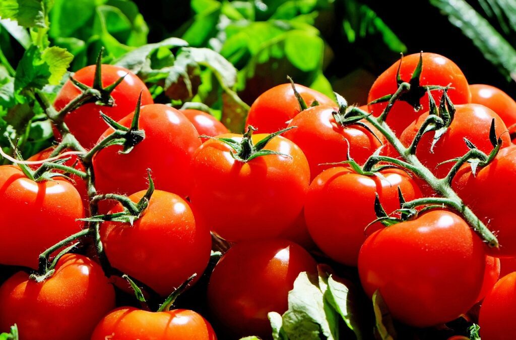 9-Foods-High-in-Antioxidants-tomatoes